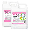 アルボース 泡の色が変わるハンドソープ 4kg×2本 薬用泡ハンドソープ 【医薬部外品】
