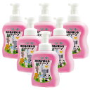 アルボース 泡の色が変わるハンドソープ 500ml×6本 薬用泡ハンドソープ 【医薬部外品】