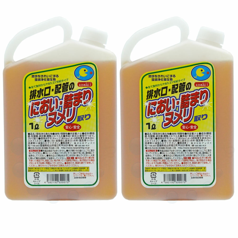 えひめAI-1 K 配管ヌメリ取り1L×2本 におい 排水口 配管 詰まり 安心 安全