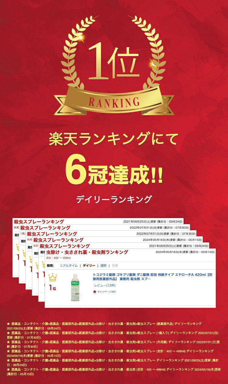 トコジラミ駆除 ゴキブリ駆除 ダニ駆除 即効 持続タイプ エヤローチA 420ml【防除用医薬部外品】 業務用 殺虫剤 スプレー 隙間 処理 噴霧 スプレー 2