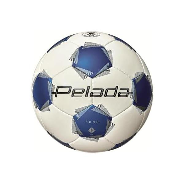 ���ƥ�(molten) ���å����ܡ��� �ڥ졼��3000 F5K3000 ����� 5��� �����