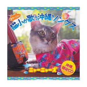 【猫歌】ニャーニャーズ「猫小（まやーぐわぁー）が歌う沖縄ソングス」