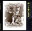 【フォーク】佐渡山豊「やっとみつけたよ」 3,000円