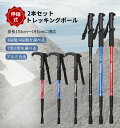 トレッキングポール 登山 ストック 