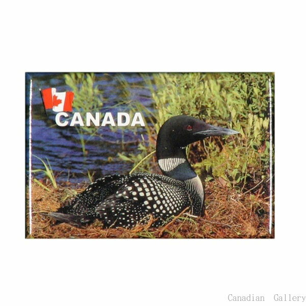 樂天商城 - CANADA ルーン(アビ) マグネット【メール便配送(ポスト投函)、代引不可】