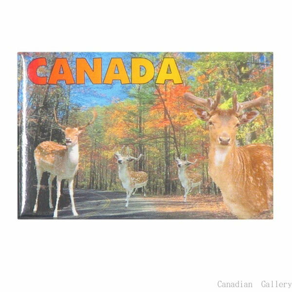 CANADA 鹿と紅葉 マグネット