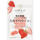 【5袋】栃木県産　スカイベリー(いちご)グミ 　40g　食べきりサイズ【メール便配送(ポスト投函)、代引不可】