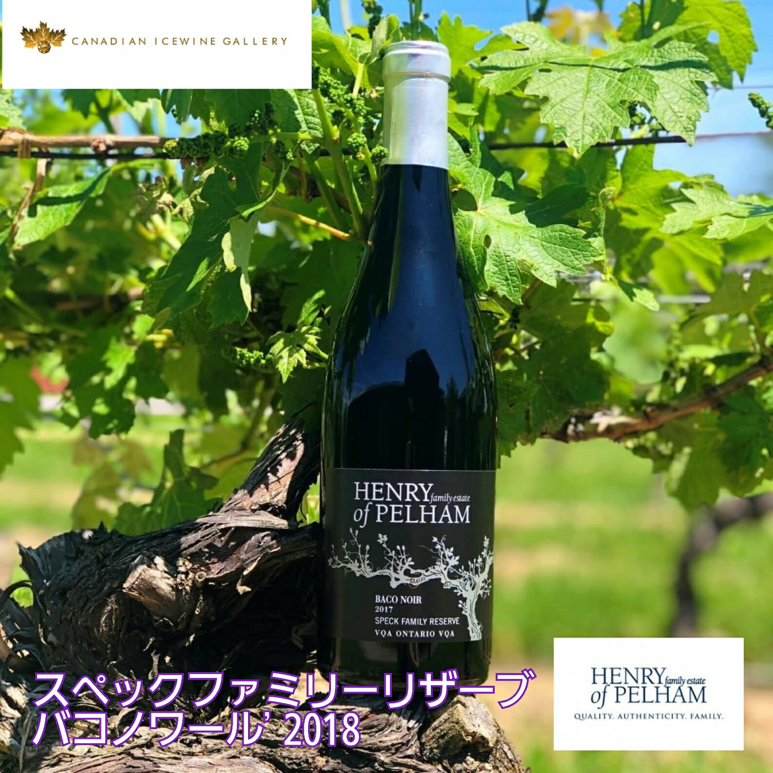 ※送料無料※  ヘンリーオブペルハム スペックファミリーリザーブ バコノワール 750ml  Henry of Pelham ◆ VQA 高級 ワイン プレゼント 贈り物 誕生日 お祝い 結婚 記念日 女子会 肉料理 洋食 暑中見舞い 残暑見舞い