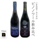 送料無料【いま注目!カナダのピノノワール飲み比べセット】赤ワイン ピノノワール 750ml フルボディ ミディアム カナダワイン オンタリオ州 ヘンリーオブペル...