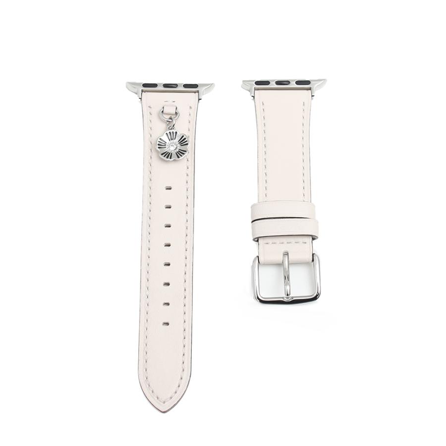  åץ륦åؤ٥ ǥ  Apple Watch Strap 38/40mm ۥ磻 14700115 CO...