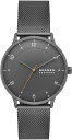 スカーゲン 腕時計 メンズ Riis チャコール SKW6884 SKAGEN