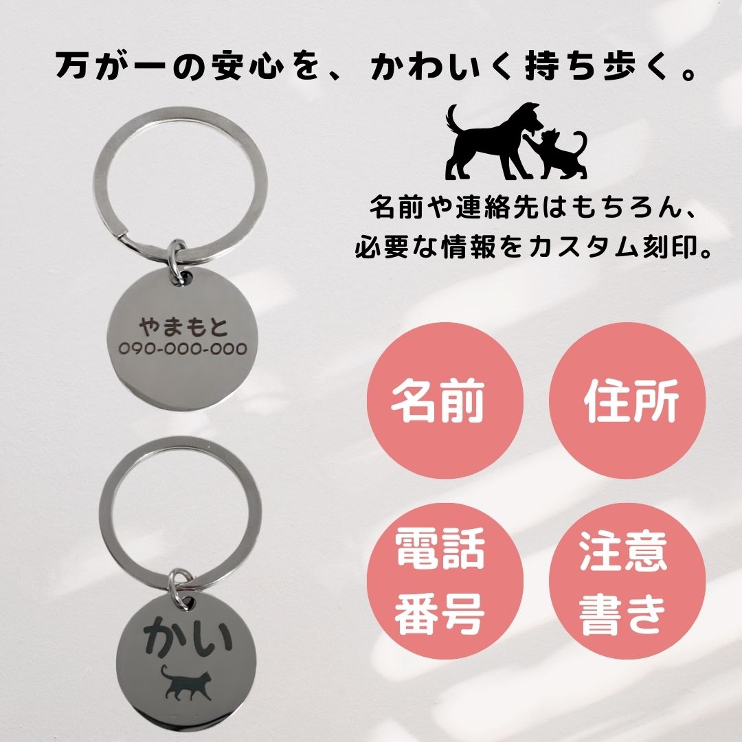 �ڥå� �͡���ץ졼�� ���� �»һ� ���ƥ�쥹 �� ǭ ̾���� ̾������ ��� ���������ᥤ�� �İ���