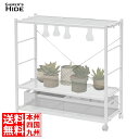 ビザールプランツラック LPR-800-WH ホワイト キャスター付き 植物育成ライト 植物用サーキュレーター 取り付け可能 植物棚 多肉棚 観葉植物 ラック ...