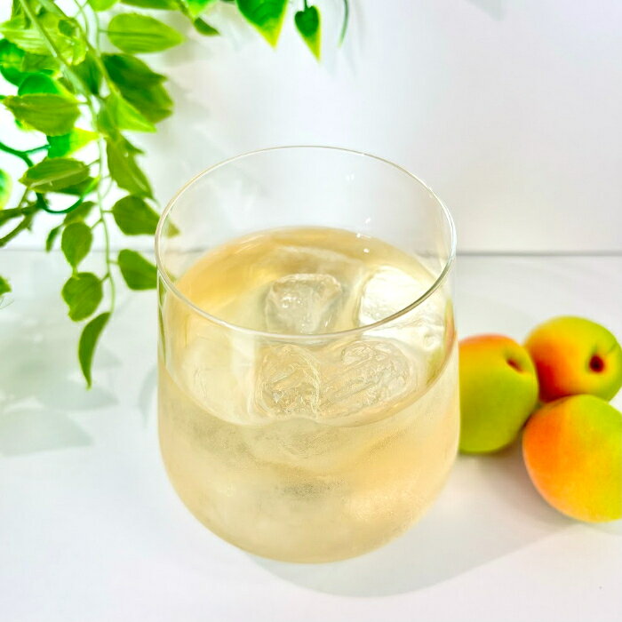 専門店 中江のダイドー 梅よろし 280ml ペットボトル 48本 (24本入×2 まとめ買い)｜アングル3