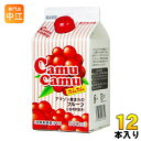 ジーエスフード カムカム(CamuCamu) 500ml 紙パック 12本入 〔果汁飲料〕