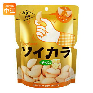 大塚製薬 ソイカラ チーズ味 27g 18袋入 〔栄養食品 ノンフライ ヘルシー 大豆スナック SoyCarat　お菓子　バランス栄養食　KARAがCM〕