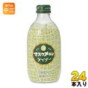 友桝飲料 マスクメロンサイダー 300ml 瓶 24本入 炭酸ジュース メロンジュース サイダー