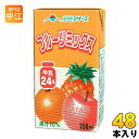 らくのうマザーズ フルーツミックス 250ml 紙パック 48本 (24本入×2 まとめ買い) 〔乳性飲料〕