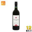 湘南貿易 ヴィンテンス メルロー (赤) 750ml 瓶 12本 (6本入×2 まとめ買い) 〔ノンアルコールワイン 赤ワイン やや辛口〕