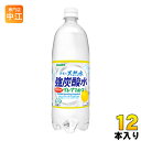 サンガリア 伊賀の天然水炭酸水グレープフルーツ 1L ペットボトル 12本入 〔炭酸水〕