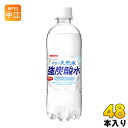 サンガリア 伊賀の天然水 強炭酸水 500ml ペットボトル 48本 (24本入×2 まとめ買い) 〔炭酸水〕