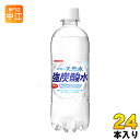 サンガリア 伊賀の天然水 強炭酸水 500ml ペットボトル 24本入 〔炭酸水〕