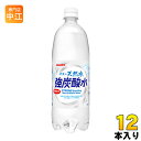 サンガリア 伊賀の天然水 強炭酸水 1L ペットボトル 12本入 炭酸水 無糖炭酸 水 〔炭酸水〕