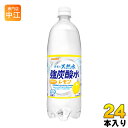 サンガリア 伊賀の天然水 強炭酸水 レモン 1L ペットボトル 24本 12本入 2 まとめ買い 〔炭酸水〕