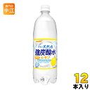 サンガリア 伊賀の天然水 強炭酸水 レモン 1L ペットボトル 12本入 〔炭酸水〕