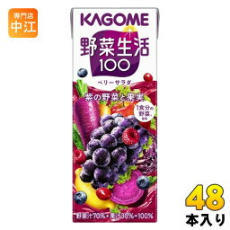 カゴメ 野菜生活100 ベリーサラダ 200ml 紙パック 48本 (24本入×2 まとめ買い) 野菜ジュース 紫の野菜と果実