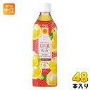 サンA 日向夏紅茶 500ml ペットボトル 48本 (24本入×2 まとめ買い) 紅茶飲料