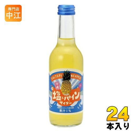 友桝飲料 塩&パインサイダー 245ml 瓶 24本入 地サイダー 炭酸ジュース タンサン