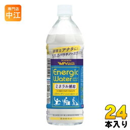 ブルボン ウィングラム エナジックウォーター 500mlペット 24本入 スポーツドリンク 熱中症対策 水分補給