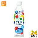 〔5月7日発売〕 サントリー GREEN DA KA RA グリーンダカラ 塩ライチ＆ヨーグルト 490ml ペットボトル 24本入 熱中症対策 果汁飲料 塩分補給