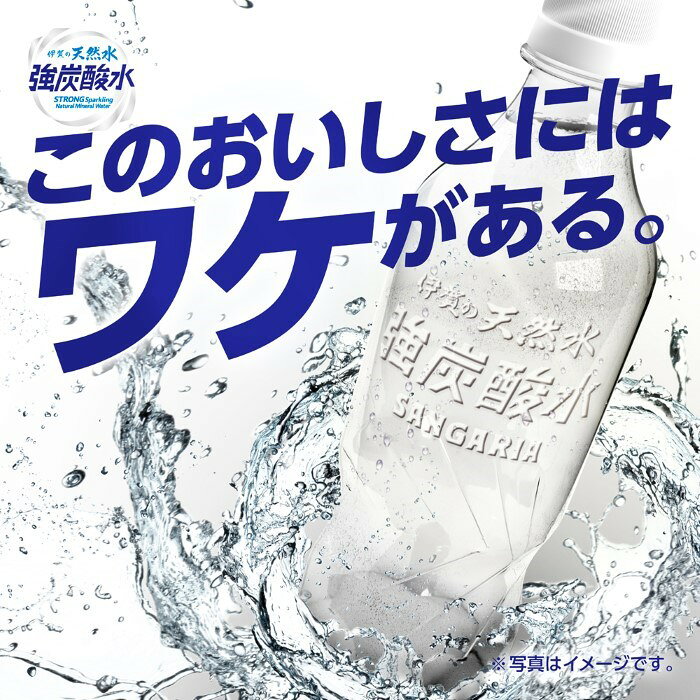 サンガリア 伊賀の天然水 強炭酸水 ラベルレス 450ml ペットボトル 48本 (24本入×2...