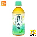 爽健美茶 300ml ペット