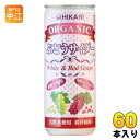 光食品 オーガニック ぶどうサイダー+レモン 250ml 缶 60本 (30本入×2 まとめ買い) 炭酸飲料 砂糖不使用