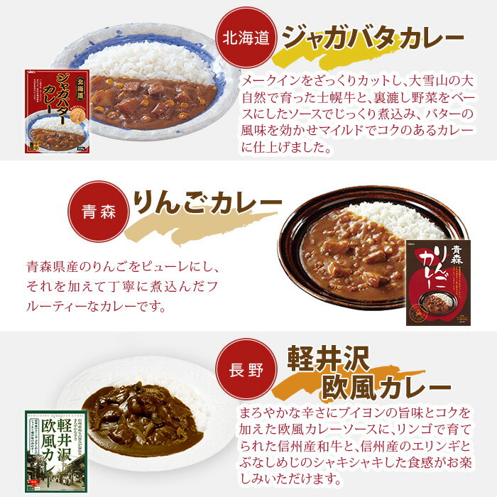ご当地カレー 詰め合わせ 11種セット - 3