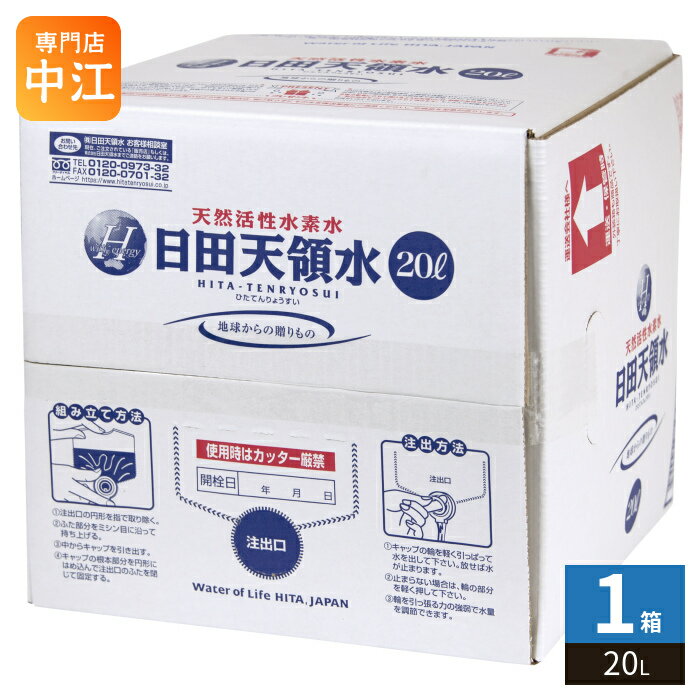 日田天領水 20L バッグ�