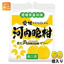 愛工房 飲むぷれみあむゼリー 河内晩柑 180g パウチ 60個 (30個入×2 まとめ買い) ゼリー飲料 柑橘