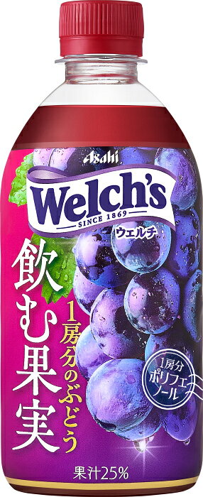専門店 中江のアサヒ Welch's ウェルチ 飲む果実 1房分のぶどう 470ml ペットボトル 24本入 果汁飲料 グレープ ウェルチ 冷凍可能 果汁25%｜アングル2
