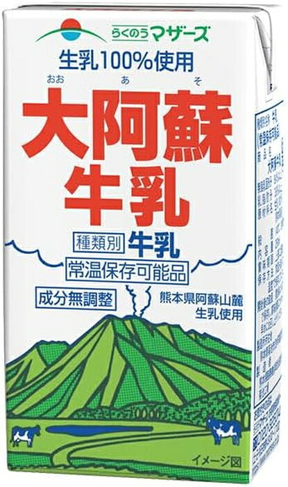 専門店 中江のらくのうマザーズ 大阿蘇牛乳 250ml 紙パック 48本 (24本入×2 まとめ買い) ミルク 常温保存可能｜アングル2