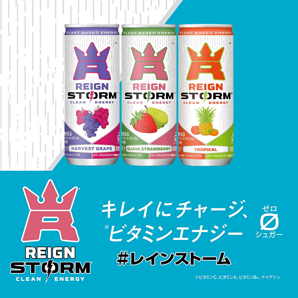 アサヒ レインストーム 250ml 缶 30本入 よりどり 栄養機能食品 エナジードリンク 炭酸飲料 タンサン クリーンエナジー エナドリ ゼロカロリー cancan-10030913 専門店 中江 サンプル画像3