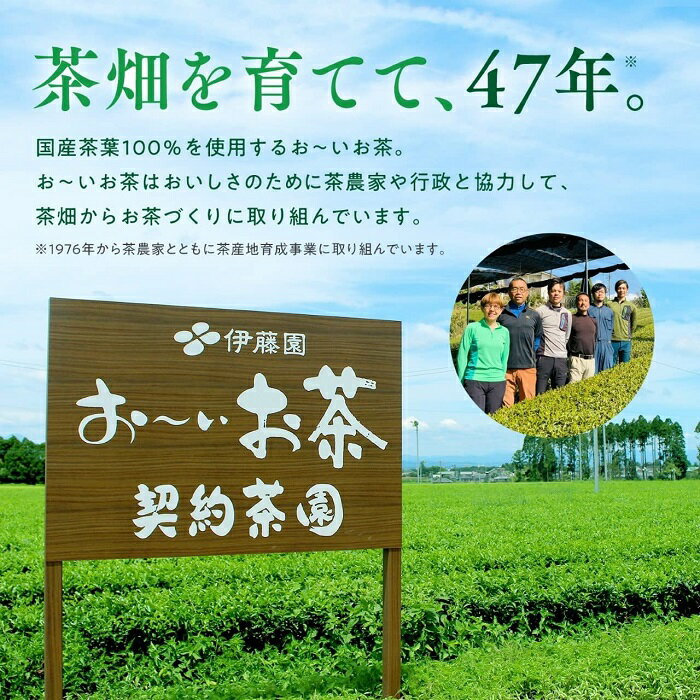 伊藤園 お〜いお茶 緑茶 245g 缶 90本...の紹介画像3