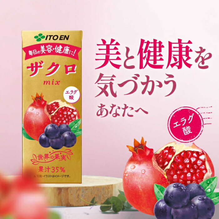 伊藤園 ザクロmix 200ml 紙パック 48本 (24本入×2 まとめ買い) 送料無料 ポリフェノール 無添加 ざくろ ザクロ エラグ酸