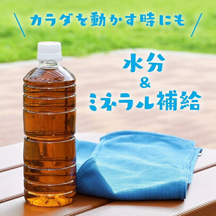 伊藤園 健康ミネラルむぎ茶 ラベルレス 600ml ペットボトル 24本入 お茶 デカフェ ...