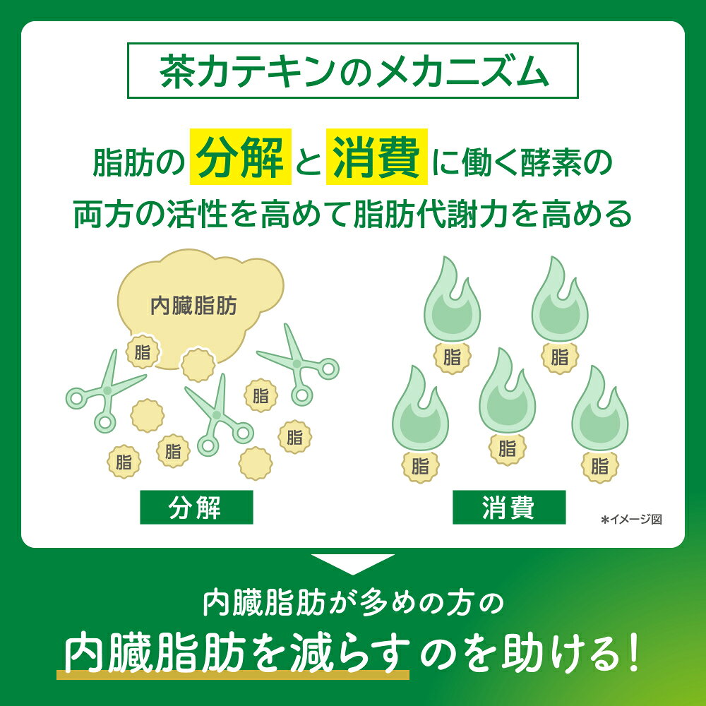 キリン ヘルシア うまみ緑茶 1000ml ペットボトル 24本 (12本入×2 まとめ買い) 茶飲料 特保 cancan-10013580 専門店 中江 サンプル画像3