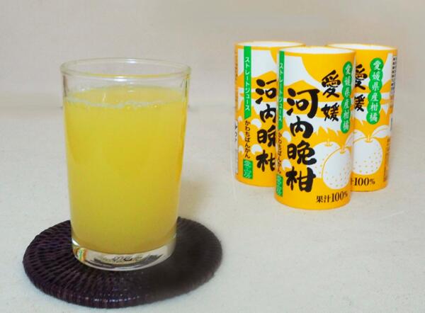 愛工房 河内晩柑 125ml カート缶 30本入の紹介画像3