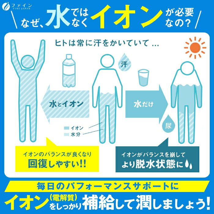 ファイン マイスポーツ イオンドリンク パウダー 亜鉛プラス みかん風味 (500ml用×22包) 10箱 (1箱入×10 まとめ買い) スポーツドリンク 粉末 熱中症対策 栄養機能食品 砂糖ゼロ 脂質ゼロ cancan-10026414 専門店 中江 サンプル画像3
