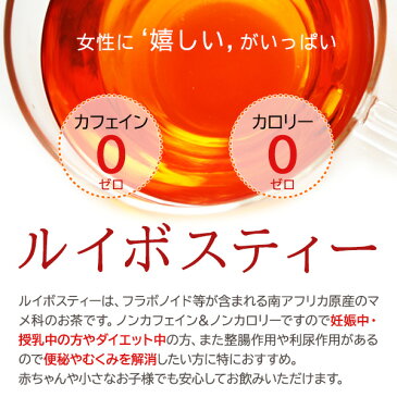 〔クーポン配布中〕サーフビバレッジ ジンジャールイボスティー 500ml ペットボトル 48本 (24本入×2 まとめ買い)〔お茶〕